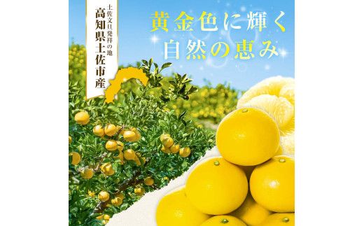 【日本ギフト大賞2024受賞】【先行予約】 園主こだわりの土佐文旦 5kg 小玉（L～Mサイズ） 2027年1月下旬より順次発送 家庭用 贈答用 ぶんたん ブンタン 柑橘 みかん フルーツ 果物 お取り寄せ 【やの一果彩】 [BQAC017]