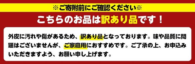 ＜先行予約受付中！2026年1月上旬以降順次発送＞＜訳あり・不揃いの為＞数量限定！無加温ハウス不知火(5kg) 国産 鹿児島県 阿久根市 果実果物 フルーツ 柑橘 みかん ミカン 期間限定 数量限定【桐野柑橘株式会社】akn070-12