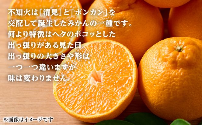 【先行予約】 不知火 約3kg しらぬい 柑橘 果物 くだもの フルーツ おやつ デザート ハウス栽培 熊本県 八代市 【2027年1月中旬より順次発送】