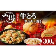 山樹の国産牛とろホルモン焼き（味付/タレ）　300g [047R16]