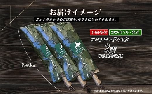 2026年 7月以降順次発送 1511.フレッシュ 白樺 ヴィヒタ 3束 北海道 白樺 ヴィヒタ アロマ ウィスク インテリア サウナグッズ サウナ テントサウナ 北海道 弟子屈町