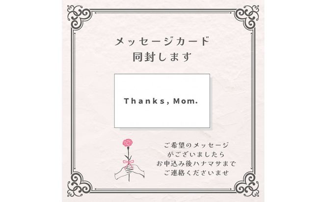 《母の日限定》カーネーションのブーケ＜出荷時期：2026年5月6日～5月9日＞ 142069_BN041