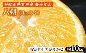 八朔（はっさく）［約10kg］和歌山県有田産 春みかん【果実サイズおまかせ】 ｜ 和歌山県産 柑橘 フルーツ 紀伊国屋文左衛門本舗