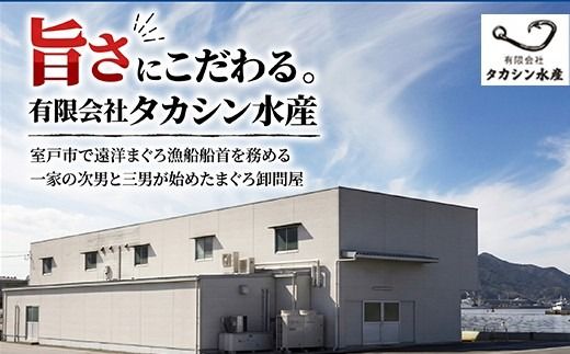 天然本マグロ 中とろ 切落し お手軽 ちょこっとパック 60g×10パック 合計600g 食べきりサイズ 本マグロ 中とろ 切り落とし マグロ 鮪 クロマグロ 海産物 魚 刺身 さしみ 漬丼 漬け丼 お手軽 おかず 海鮮丼 魚介類 魚介 海鮮 小分け 簡単解凍 調理 惣菜 訳あり 規格外 父の日 高知県 不揃い 中トロ 冷凍 高知県 室戸市