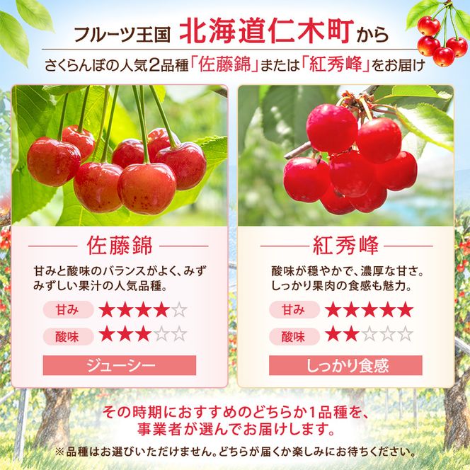 2027年発送 北海道 仁木町産 さくらんぼ (Lサイズ以上) 800g～900g 佐藤錦 又は 紅秀峰 サクランボ チェリー フルーツ 果物 [くだものの笠井園]