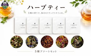 ハーブティー アソート 5種 セット GARDENS ブレンド 計20包 ティーバッグ レモングラス カモミール ハイビスカス ローズレッド ルイボス 飲み比べ ハーブ ティー オリジナル 自然素材 ギフト 贈り物 贈答 お茶 飲み物 飲料 ふるさと納税 静岡県 藤枝市