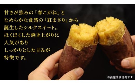さつまいも 【 選べる品種 】 5kg / 10kg ( 箱込 ) サツマイモ さつま芋 芋 いも 野菜 焼き芋 スイーツ おやつ 国産 シルクスイート 紅はるか 紅あずま ふくむらさき ほしあかね