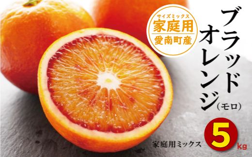 ブラッドオレンジ 5kg （ 家庭用 ミックス ） 10000円 （発送期間：1月下旬～無くなり次第終了） みかん オレンジ おれんじ タロッコ モロ イタリア 高級 ブランド 家庭用 産地直送 国産 農家直送 糖度 果樹園 期間限定 数量限定 特産品 ゼリー ジュース 人気 限定 さわやか 甘い 新鮮 果実 果肉 フルーツ 果物 柑橘 蜜柑 規格外 サイズ ミックス 愛媛県 愛南町 果樹園みどり