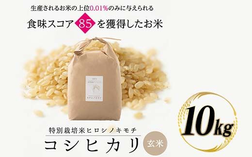 特別栽培米 コシヒカリ ヒロシノキモチ 玄米 10kg ブランド米 銘柄米 国産 米 お米 日本米 ギフト 贈り物 備蓄 防災 食品 陽咲玲 はるざれ F6T-989