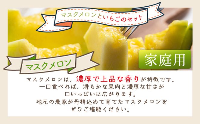 マスクメロン イチゴセット yr-0110