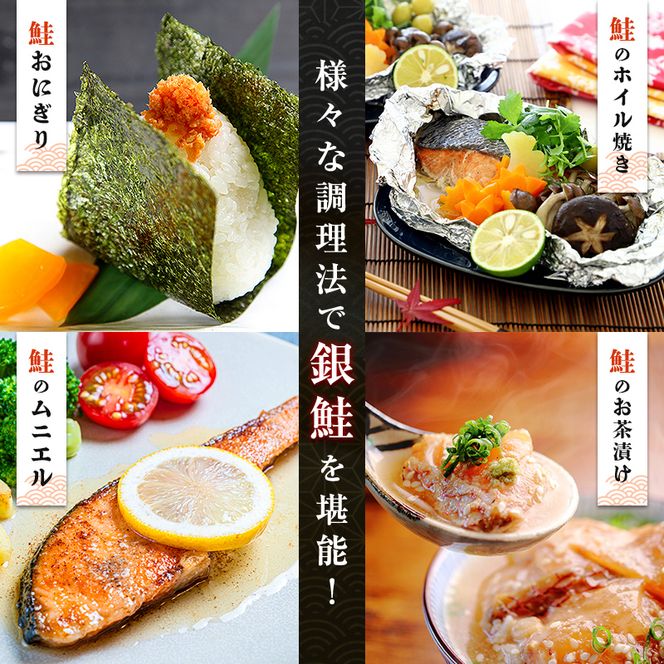 【順次発送】 【訳あり】 減塩銀鮭 2kg 鮭 さけ サケ しゃけ シャケ 減塩 銀鮭 塩鮭 切り身 冷凍 魚 海鮮 魚介 魚貝 海産物 海の幸 おかず おつまみ 肴 国産 食品 復興 震災 コロナ 能登半島地震復興支援 北陸新幹線 F6P-3420