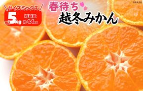 みかん 春待ち 越冬みかん 箱込5kg(内容量4.4kg) 等級／サイズミックス 和歌山県産 産地直送 AX431