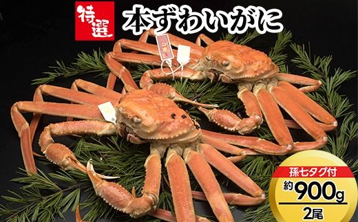 【特選】本ずわいがに約900g×2尾（孫七タグ付き） ※2025年11月中旬～2026年3月中旬頃に順次発送予定
