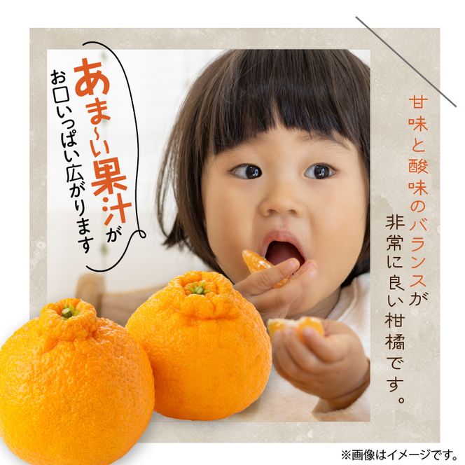 U6300_【2027年先行予約】デコポン 秀品 18玉～24玉 和歌山県有田産