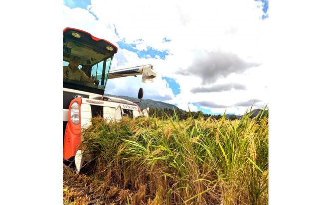 1104.令和7年産　きぬむすめ精米 5kg 313726_CI001