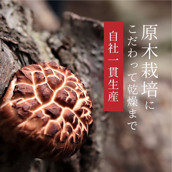 乾燥椎茸どんこ230g N0128-YA3365