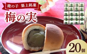 【老舗の菓子屋】築上銘菓「 梅の実 」20 個《築上町》【有限会社 御菓子司 鹿の子】[ABAC020]