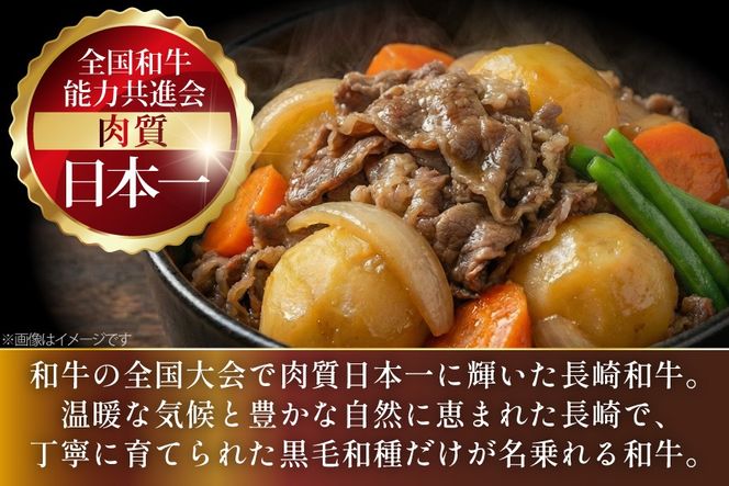 AJ509 長崎和牛 切り落とし (もも・バラ) 約500g [ 肉 牛肉 和牛 バラ モモ おいしい こま切れ カレー 肉じゃが まるしん商会 黒牛 長崎県 島原市 ]