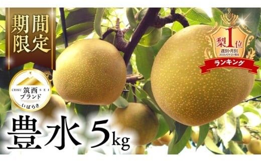 ランキング1位獲得!!【 JA 北つくば 】 筑西ブランド 認証品 豊水 5kg 2026年産 先行予約 梨 果物 フルーツ なし ナシ 豊水梨 くだもの デザート 茨城 [AE010ci]