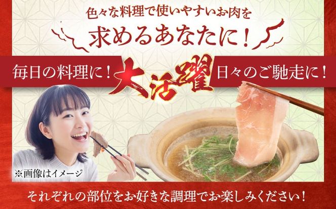 糸島 豚 バラエティ セット ( しゃぶしゃぶ / 肩ロース / とんかつ )《糸島》【トラヤミートセンター】[AJD004] 国産 豚肉 とんかつ 肩ロース 詰め合わせ しゃぶしゃぶ