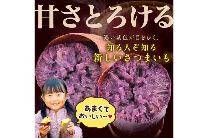 さつまいもオブザイヤー紅はるか部門全国1位のさつまいも農家がつくるサツマイモ3種食べ比べセット（紅はるか・金時・ふくむらさき）計約5kg　TF00029