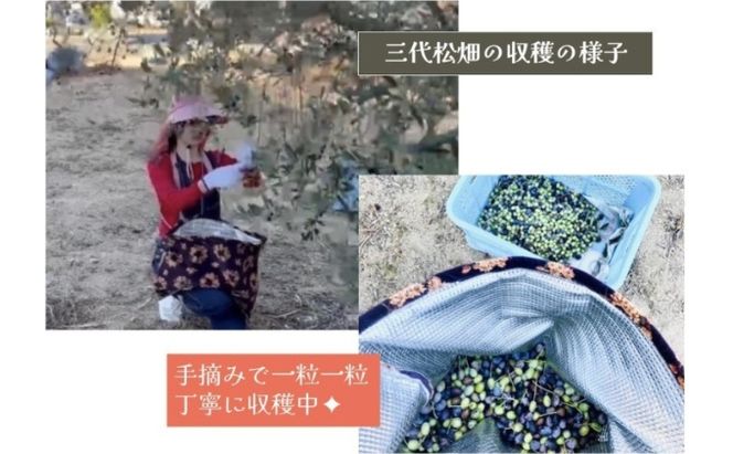 小豆島産オリーブオイル 100% 搾りたて 小豆島産三代松家オリーブオイル (エクストラバージンオイル・濾過) 67ml 1本