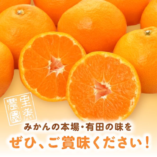 《2026年11月中旬～2027年1月中旬頃に順次発送予定》【2026年先行予約】ご家庭用有田みかん箱込み約3kg_AN6117