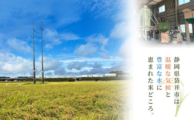 お米 選べる二種類 きぬむすめ にじのきらめき にこまる 米 コメ 精米 白米 袋井市 静岡県