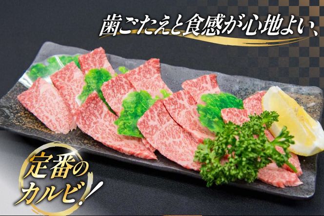 牛肉 焼肉 博多和牛 カルビ 450g 2p 約 900g [地域商社ふるさぽ 福岡県 筑紫野市 21761434] 焼き肉 やきにく 和牛 牛 肉 にく 国産 カルビ 冷凍 小分け