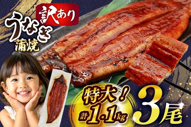 うなぎ 訳あり 蒲焼 特大 肉厚 3尾 約 1.1kg 小分け タレ 山椒付き [大黒物産 福岡県 宇美町 um40bak830001] 不揃い 規格外 家庭用 鰻 ウナギ unagi うなぎ蒲焼 鰻蒲焼き 蒲焼き かば焼き 真空パック 個包装 冷凍 1キロ 1k 1万円以下 10000円の品 10000 10000円