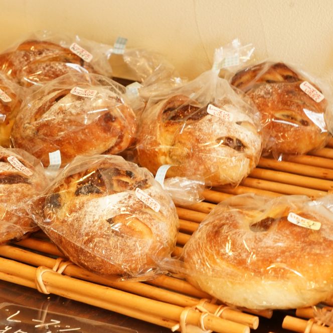 【3か月定期便】ミチルベーカリーのこだわりパン詰合せセット（6～8種類おまかせ）｜茨城県 大子町 手作り パン 菓子パン 食事パン 冷凍パン 朝食 おやつ お取り寄せ 毎月 定期 3回 コース（CF007）