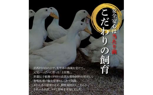 【CF-R7hbk】土佐鴨モモ肉 約1kg 2羽分 鴨肉 国産 カモ肉 かも カモ もも肉 1キロ ブロック 鴨鍋 焼肉 唐揚げ 食品 鶏肉 おいしい 惣菜 おかず お取り寄せ