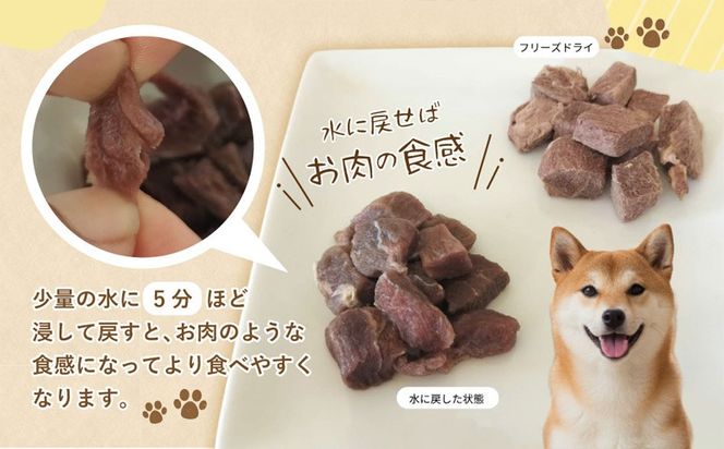 099Z356 ALOHAS 馬肉フリーズドライ 犬猫用おやつ 定期便 全3回【犬猫用 国産 無添加 無着色 高タンパク 低脂肪 ドッグフード キャットフード 毎月配送コース】