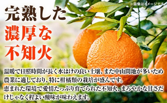 【先行予約】【ご家庭用】紀州有田産 不知火 ( しらぬひ ) 選べる内容量 約3kg 約6kg 約8.5kg 株式会社魚鶴 《2月中旬-3月中旬頃出荷》 和歌山県 日高川町 不知火 みかん 柑橘 果物 フルーツ デコポン と同品種 でこぽん 訳あり不知火 訳ありデコポン 訳あり---wshg_uot110_2c3c_25_9000_3kg---