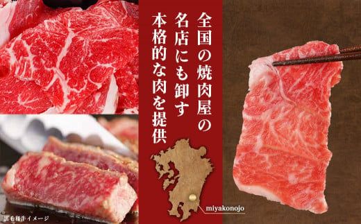 【黒毛和牛】切り落とし1.5kg(250g×6パック)≪みやこんじょ特急便≫_18-I901-Q_(都城市) 10日以内お届け スピード配送 牛肉 国産黒毛和牛 外モモ ウデ マル バラ モモ ブリスケ 切り落とし 250g×6 小分け ブリスケ 