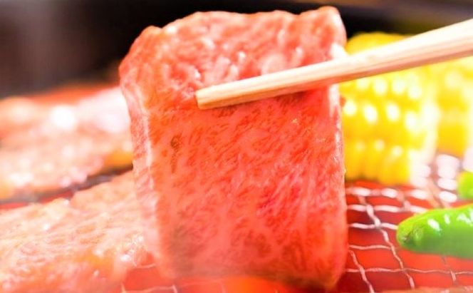 博多和牛 焼肉用 500g