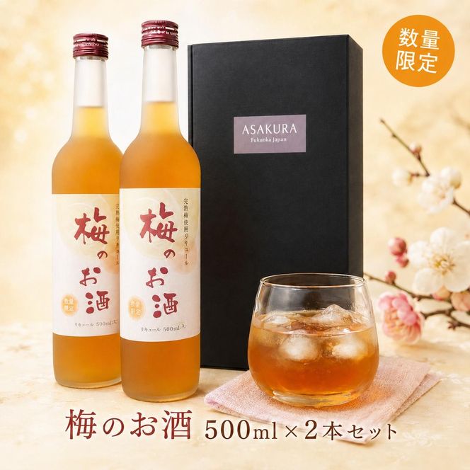 【数量限定】梅のお酒 500ml×2本セット 洋酒 リキュール 