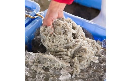 【セット】釜揚げしらす(200g×2) と 天日干しちりめん(200g×2)【冷蔵】無添加・無着色 しらす シラス 釜揚げ 小分け 冷蔵 ちりめん【mar105】