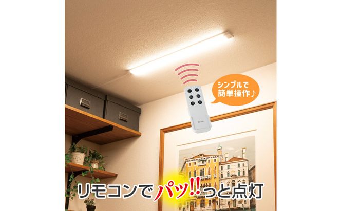 LED多目的灯 リモコン60cm 電球色ALT-3060RE(L) 272183_AZ252