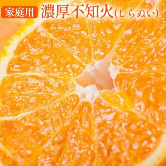 有田育ちの濃厚 不知火( デコポンと同品種)( 訳あり 家庭用 ) 3kg+200g(傷み補償分)