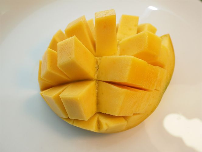 【2026年先行予約】紀州美浜しおさい マンゴー 2～3玉（1.0～1.1kg）｜フルーツ 果物 くだもの まんごー 希少 国産 食品 おやつ デザート 産地直送 和歌山県美浜町産