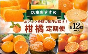 みかん 【全12回】 柑橘 定期便 石本果樹園 店主おすすめの柑橘セットを毎月お届け！ / フルーツ 果物 くだもの 柑橘 フルーツ定期便 くだもの定期便 定期便 フルーツセット くだものセット みかん ミカン 温州みかん 不知火 せとか セミノール ポンカン カラマンダリン 甘夏 清見 オレンジ ジュース みかんジュース 果実飲料 産地直送 旬 人気 おすすめ 詰め合わせ お楽しみ 三重県 紀宝町 【tkb507】
