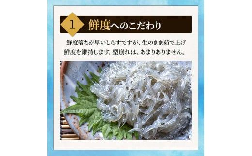 しらす 訳あり 1kg 1箱 しらす干し シラス ごはん おかず チャーハン パスタ 料理 大きめ ランキング こだわり 鮮度 天塩 マル伊商店 愛知県 南知多町