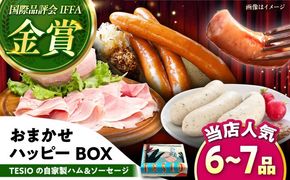 TESIOの自家製ハム＆ソーセージ 『おまかせハッピーBOX』 豚肉 ハム ソーセージ 小分け 真空パック 沖縄市 / TESIO[BCAD019]