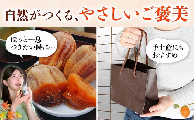 【先行予約】半生干し柿 選べる内容量 6個 12個 18個 御船藤農園《2026年11月上旬-2027年1月中旬頃出荷》熊本県 御船町 柿 高瀬柿 果物 フルーツ かき セミドライ 甘味 くだもの 和菓子 ねっとり 濃厚 おやつ スイーツ ギフト 送料無料---mifune_mfn_13_6p---