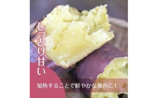 【先行予約】【11月より順次発送】2026年産 鮮やかな黄色のさつまいも ひめあやか10kg（茨城県共通返礼品・行方市産）【サツマイモ　芋　おいしい　甘い 大量 しっとり 焼き芋　てんぷら スイートポテト】(AK108)