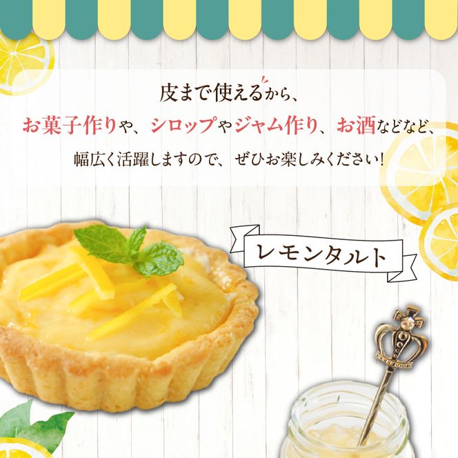 【2027年先行予約】【訳あり・ご家庭用】完熟 レモン 3kg 皮まで使用可能（栽培期間中農薬不使用）_EA6022n