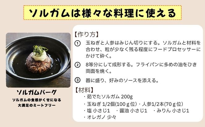 【先行予約】飯山産ソルガム 500ｇ 1袋 《出荷時期：2026年12月中旬頃〜》（Cn-001）