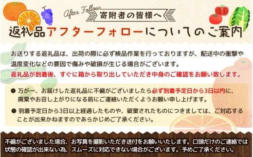 【予約受付】2Sサイズ 20玉～25玉 石本農園のハウスみかん 約2kg【2025年7月上旬から下旬に順次発送】 / みかん ミカン 蜜柑 ハウスみかん【mis009A】