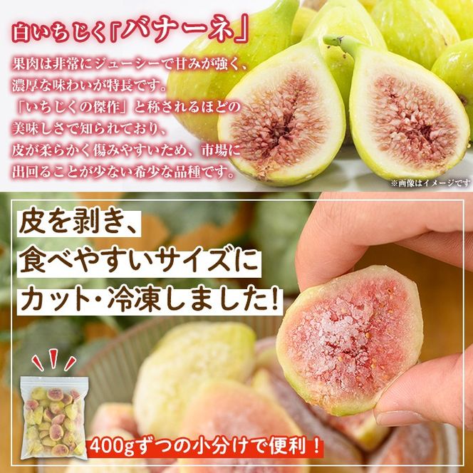 isa802 冷凍カットいちじく(計1.2kg・400g×3P) 白いちじく バナーネ バローネ 果物 フルーツ 無花果 果肉 カットフルーツ 小分け 【工房ゆう】